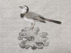 -八哥美术·成人美术画室(总校区)