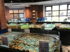 水产区-广东道至正餐厅(区庄店)