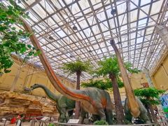 -国家自然博物馆