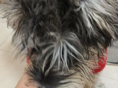 -艾贝尔宠物医院·狂犬免疫点(江山金象城店)