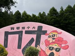 -荷兰花海