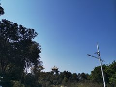 -梧桐山风景名胜区