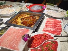 -二荆条·蜀鲜汇城市森林火锅