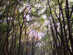 -上海市保健医疗中心(华东疗养院)