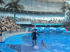 -海合安成都极地海洋公园
