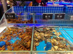 -加餐海鲜自助(宝龙一城店)