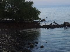-深圳湾公园(南山区)