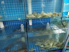 -名超海鲜烧烤大排档