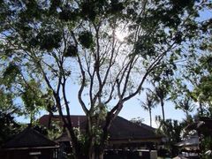 -Rock Bar Bali(Bali)