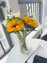 -凡碧诗毛孔清洁收细