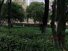 -木塔寺遗址生态公园