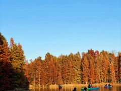 -上海海湾国家森林公园