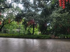 -荔湾湖公园