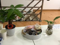 -babiline芭比莱恩半永久纹眉纹唇发际线