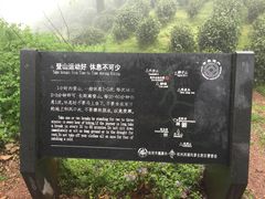 -西湖风景区十里琅珰-五云山