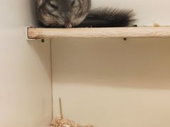 -龙猫仔乐园(惠福东路店)