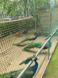 -萌宠亲子动物乐园(槐房万达店)