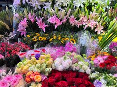 -朝来春花卉市场