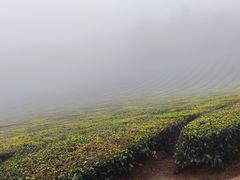 -敬亭山风景名胜区