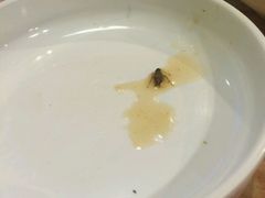 -香猪坊(五道口店)
