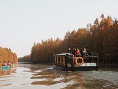 -上海海湾国家森林公园