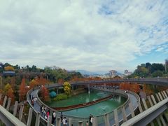-梅峰山地公园