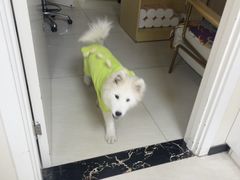 -美联众合动物医院·24h京西诊疗中心