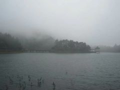 -庐山风景区花径公园