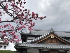 -醍醐寺