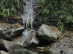 -素山寺森林公园