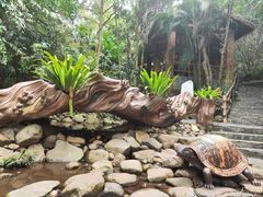 -海南白石岭旅游区