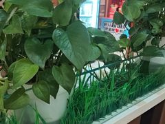 -嘉和一品粥(魏公村店)