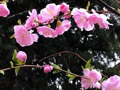 -哈尔滨师范大学(江南校区)