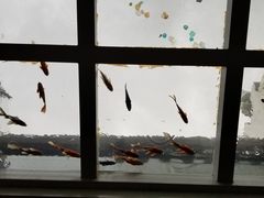 -蜜舍咖啡(洋人街店)