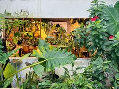 -自由生长植物工作室(深港花卉中心店)