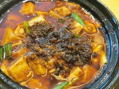 陈麻婆豆腐-陈麻婆豆腐(春熙店)