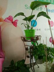 -煜婷产后恢复中心(印象生活广场店)