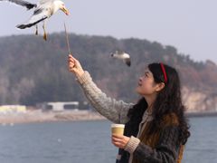 -烟墩角天鹅湖