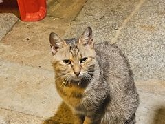 -鱼乐岛餐厅·户外花园主题餐厅