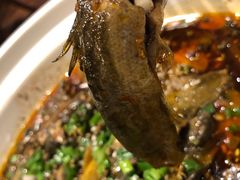 情妹耙泥鳅-情妹耙泥鳅·江湖川菜(科华店)