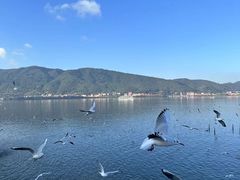 -海埂大坝