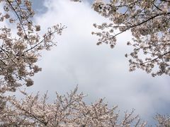 -上海辰山植物园
