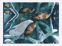 -福州罗源湾海洋世界旅游区