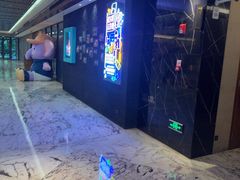 -上海漕河泾万丽酒店