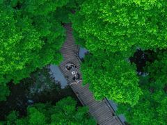 -桤木河湿地公园