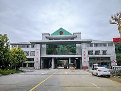 -打洛口岸