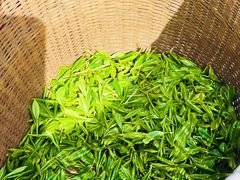 -龙坞茶村