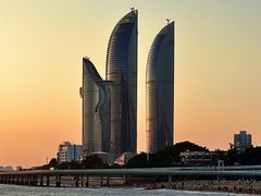 -溪岸路花鸟市场