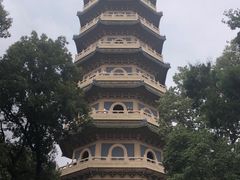 -灵谷景区