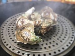 -蚝专家(北滘店)